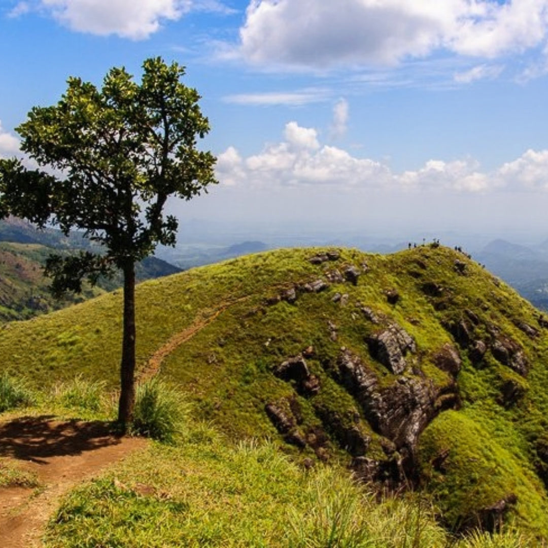 Sri Lanka