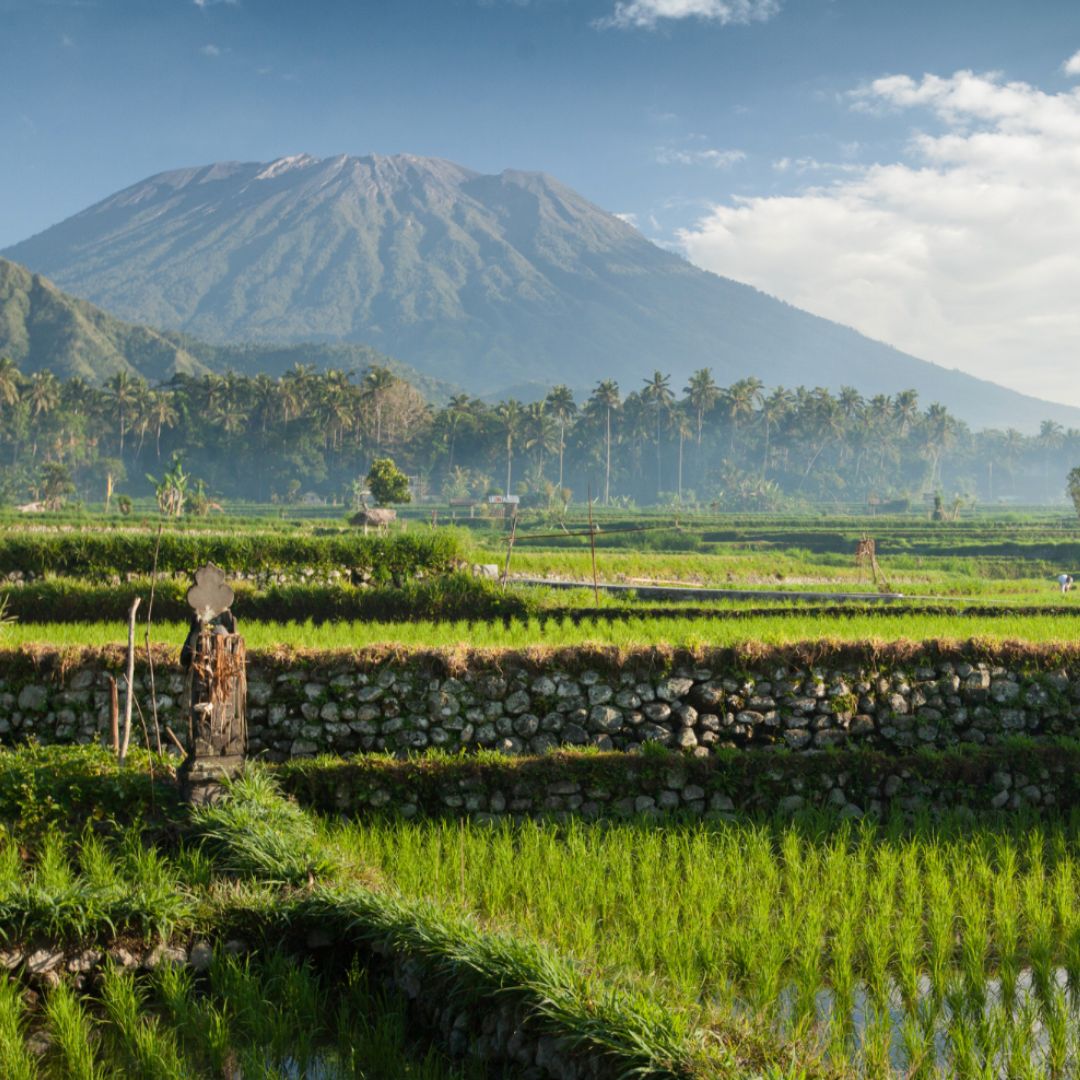 Bali avec Stéphanie