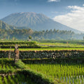 Bali avec Stéphanie