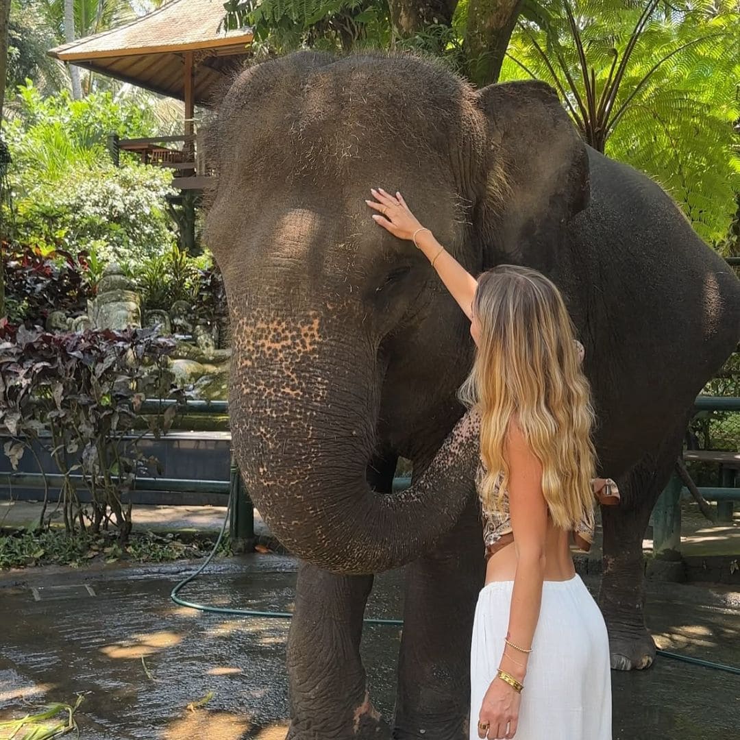 Camp d'éléphants éthique en Thaïlande - voyage responsable en petit groupe