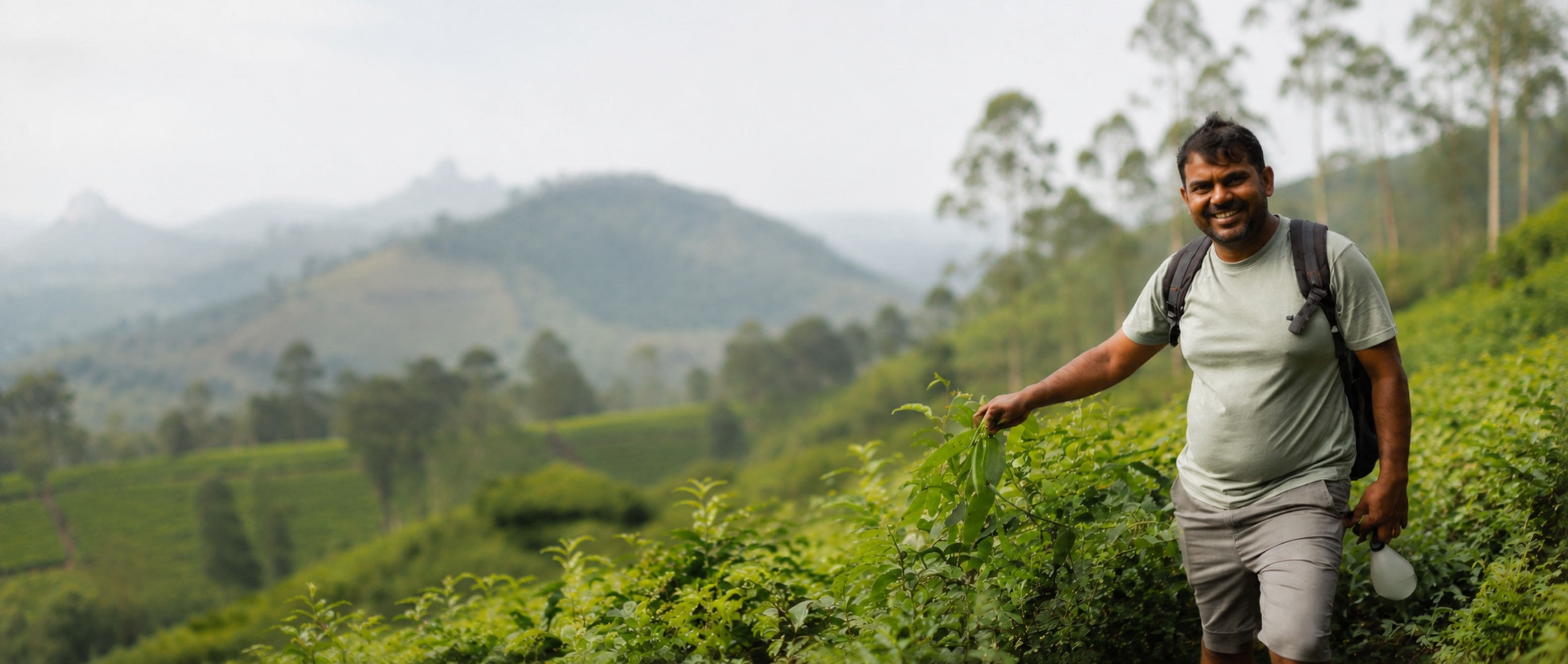 Vihan, guide francophone pour les voyages au Sri Lanka - 8 in Asia