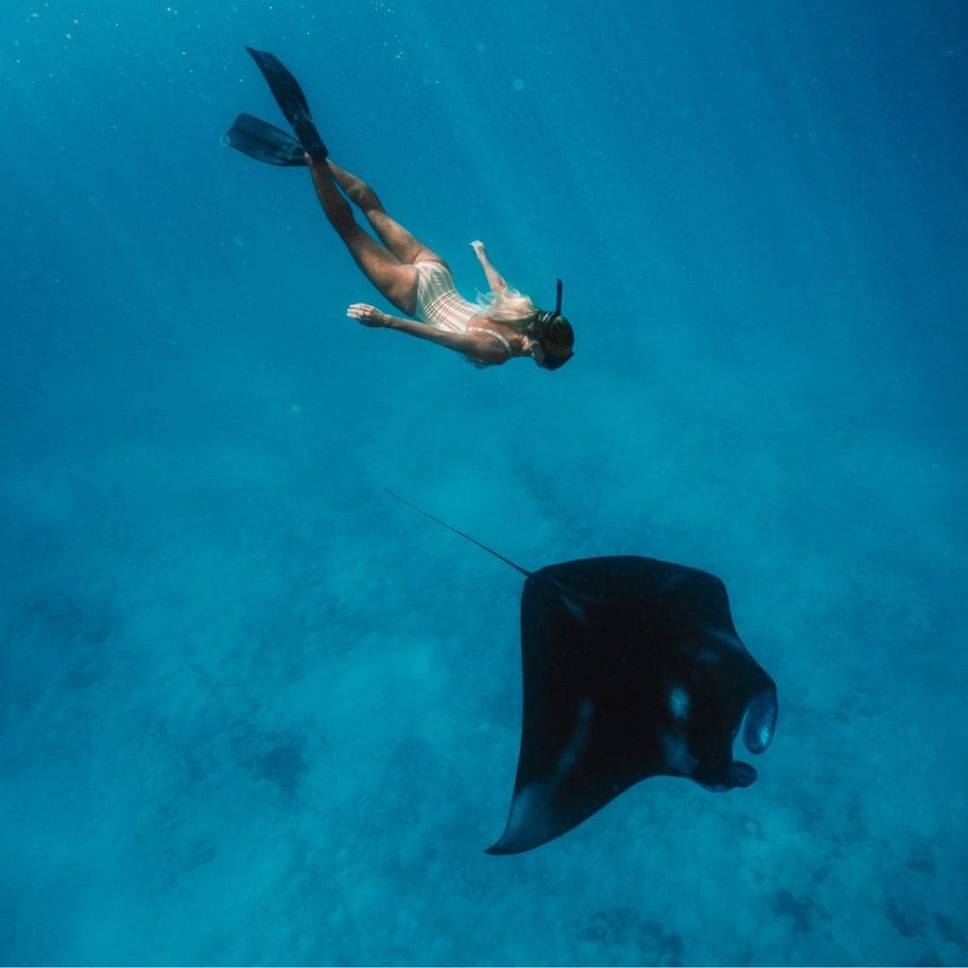 Nusa Lembongan en bateau privé - snorkeling, tortues et raies manta depuis Bali