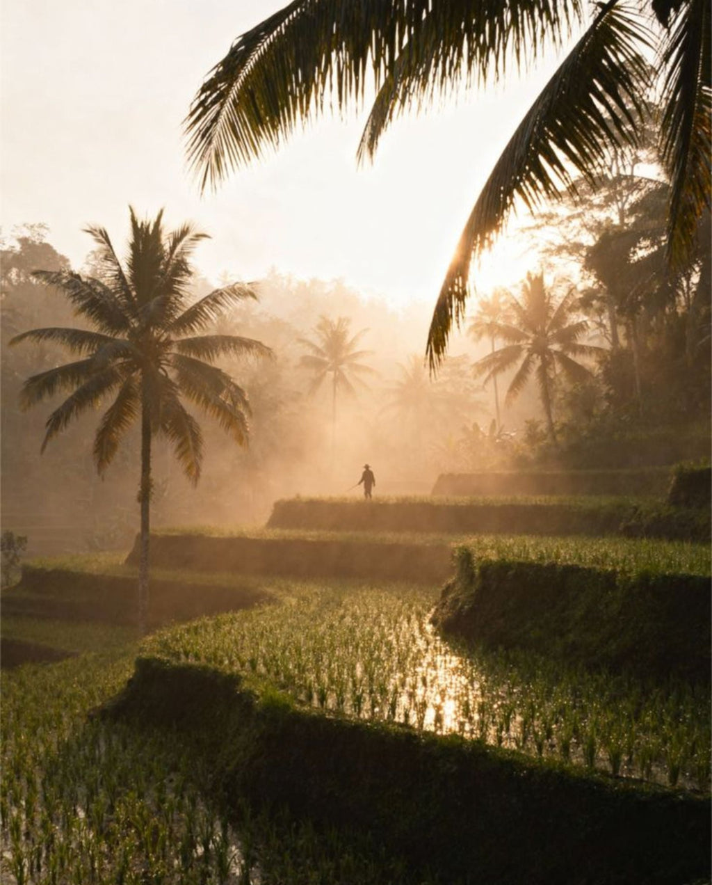 Voyage immersif à Bali en petit groupe - 8 in Asia