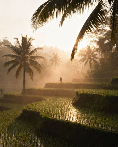 Voyage immersif à Bali en petit groupe - 8 in Asia